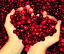 Πώς να αποθηκεύσετε το Cranberry