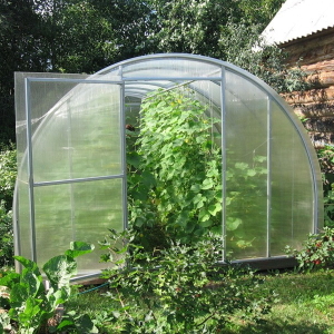 Foto Jak vytvořit okurky ve skleníku
