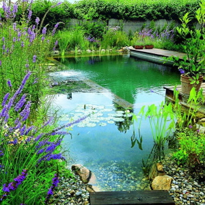 How to dig a pond for fish