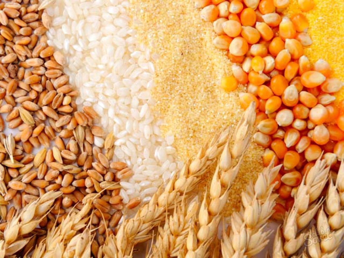 Как да съхранявате зърнени култури