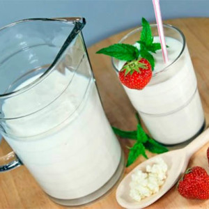 Stock foto πώς να καλλιεργήσετε το μανιτάρι γάλακτος
