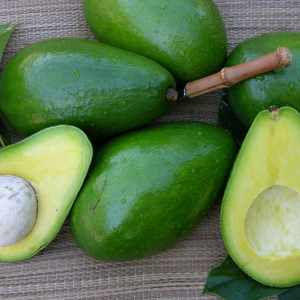 Useful properties avocado