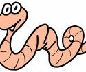 What do worms look like