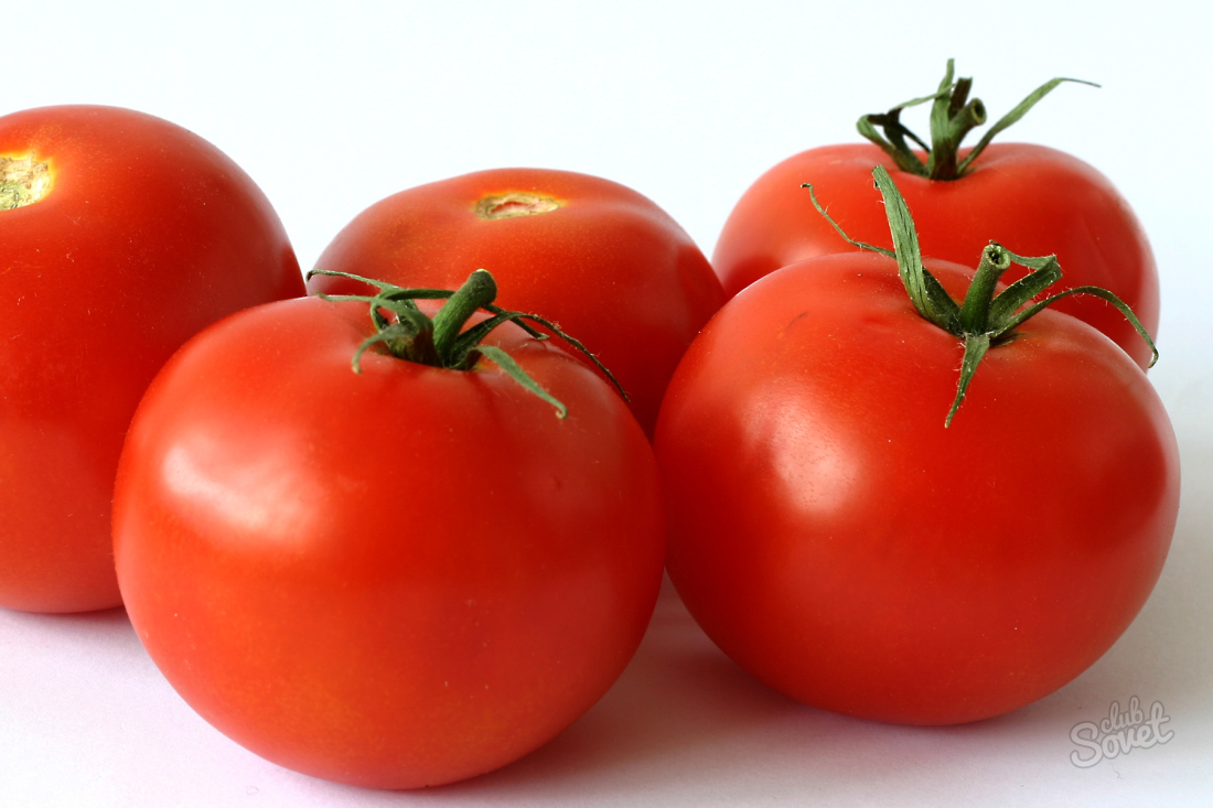 Wie man Tomaten im Gewächshaus anbaut