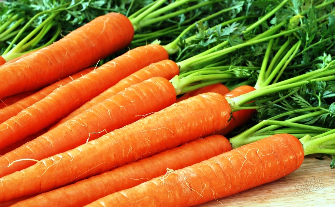 How to store carrots in winter
