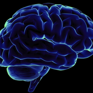 Foto Come sviluppare l'emisfero cerebrale destro