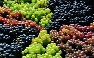 Jakie mogą być wytwarzane z winogron?