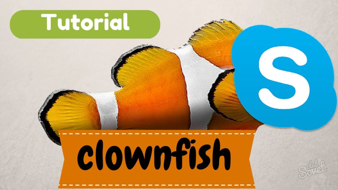 Clownfish - Cum se utilizează