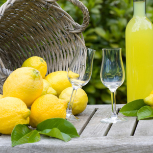 Фото как сделать лимончелло в домашних условиях
