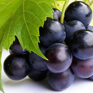 როგორ იზრდება ყურძენი