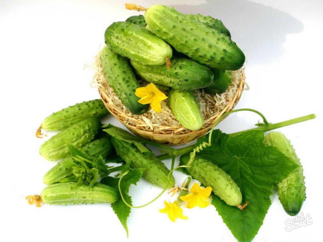 How to choose cucumber seeds