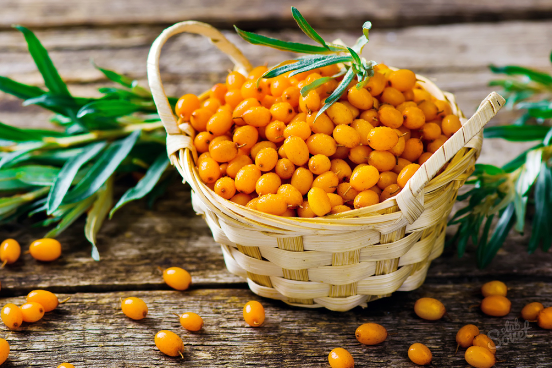 What can be made of sea buckthorn at home?