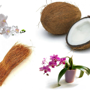 Stock Foto Coconut fiber for flowers how to use