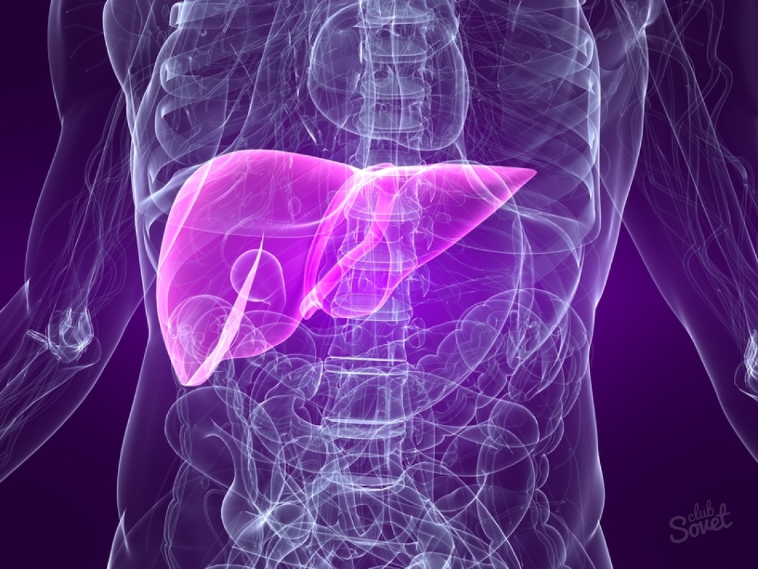 How to treat liver after alcohol