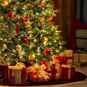 سهام Foto درخت زنده برای سال جدید