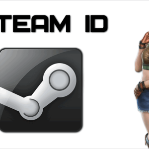 ภาพถ่ายวิธีค้นหา ID Steam