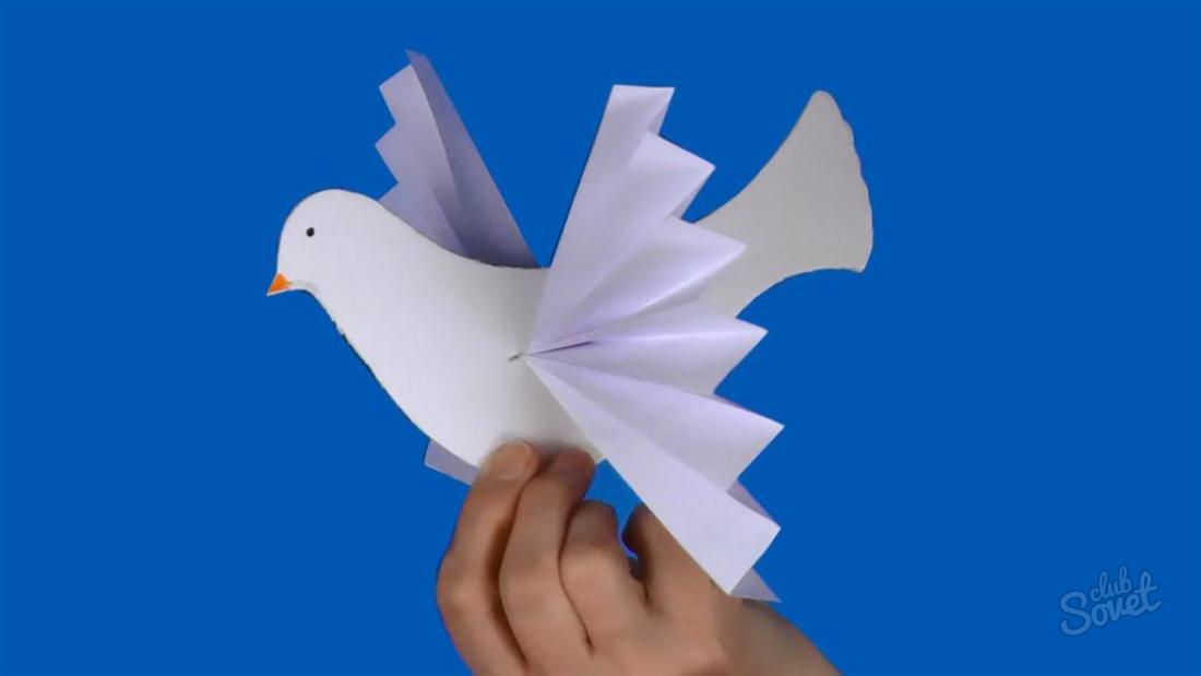 Cum să faci o porumbel de hârtie?