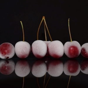 Foto Cara Membekukan Cherry