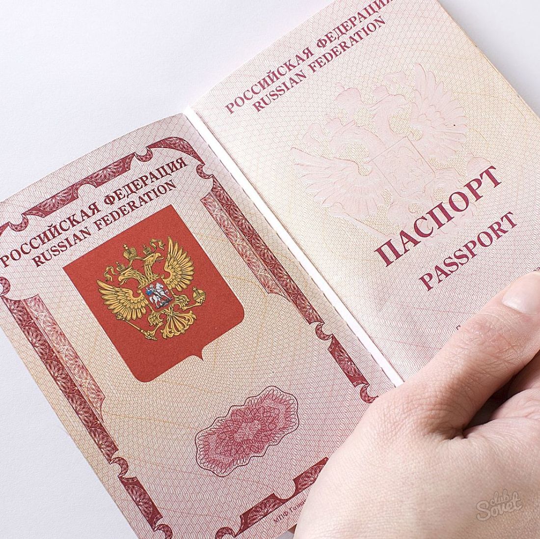 Как да разберете подробности за паспорти