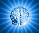Co ukazuje mozek MRI