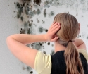 Jak se zbavit plísní na zdi