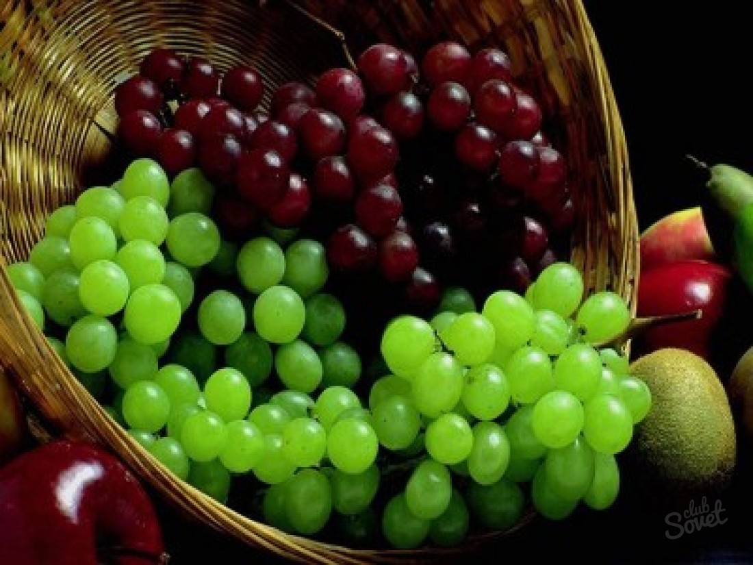 Kako posaditi grožđe