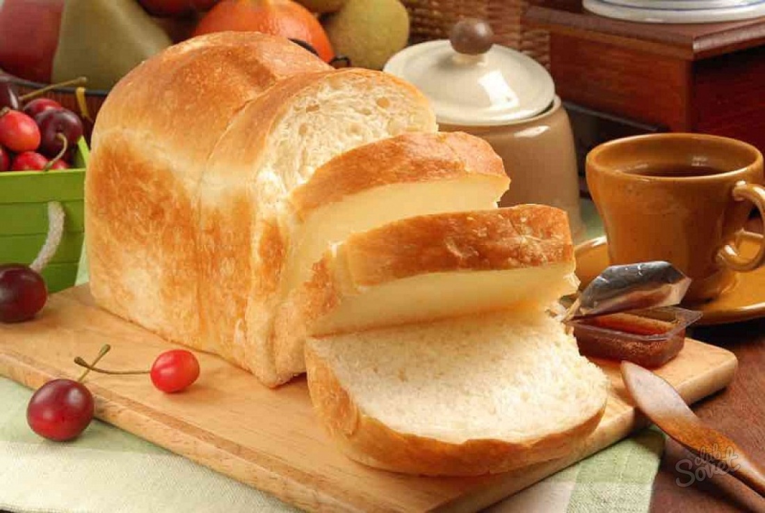 Jaký sen o chleba?
