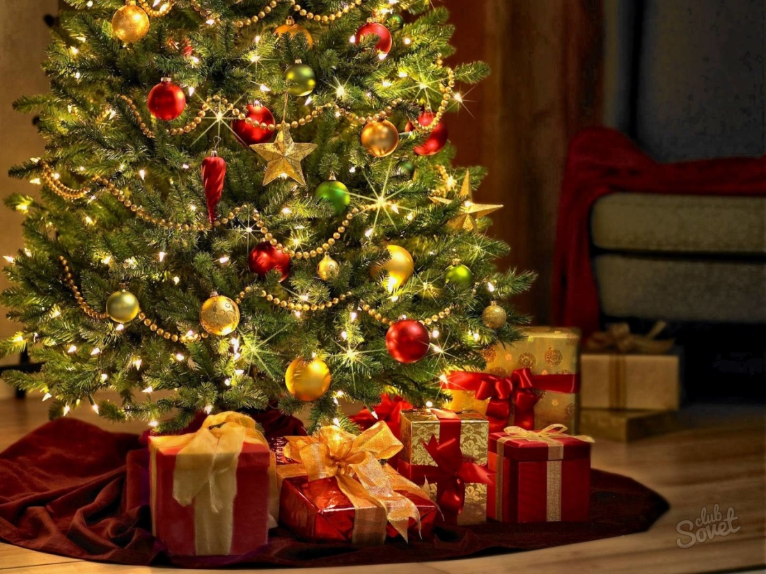 Vivere l'albero di Natale per il nuovo anno