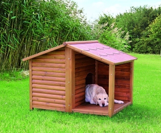 Cara membuat booth untuk anjing