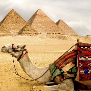 Photo How to call Egypt