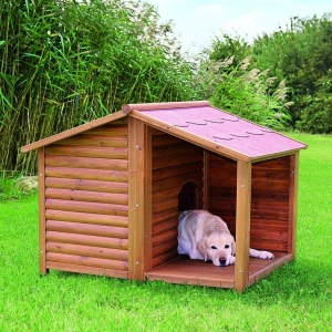 Bir köpek için bir kabin nasıl yapılır