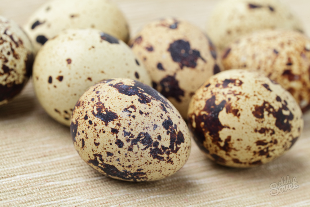 Leungchopan - Výhody a poškození křepelčích vajec