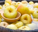 كيفية الرطب التفاح