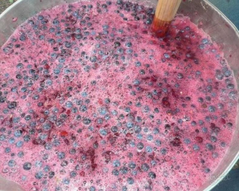 сусло для вина как сделать вино