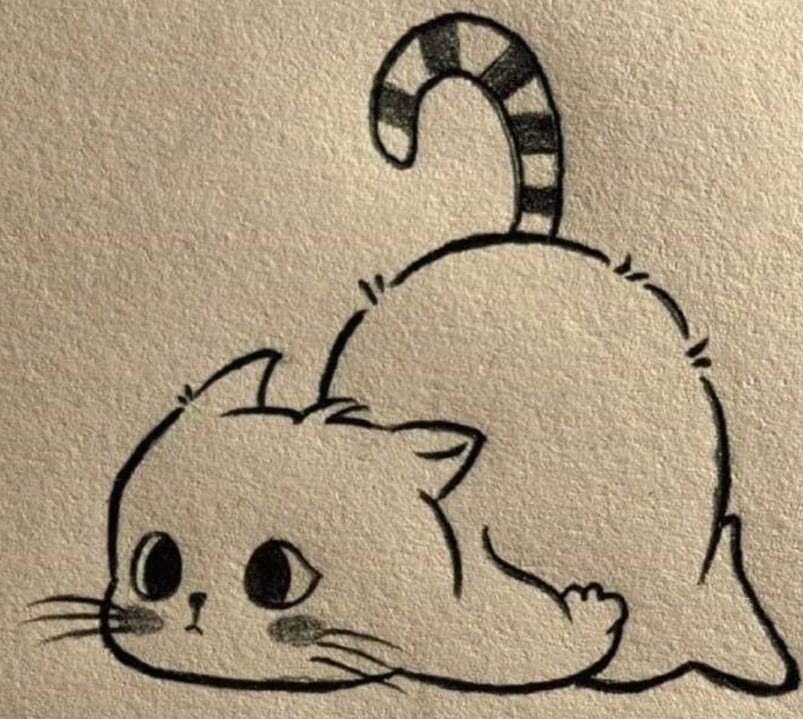 кошка нарисованная карандашом