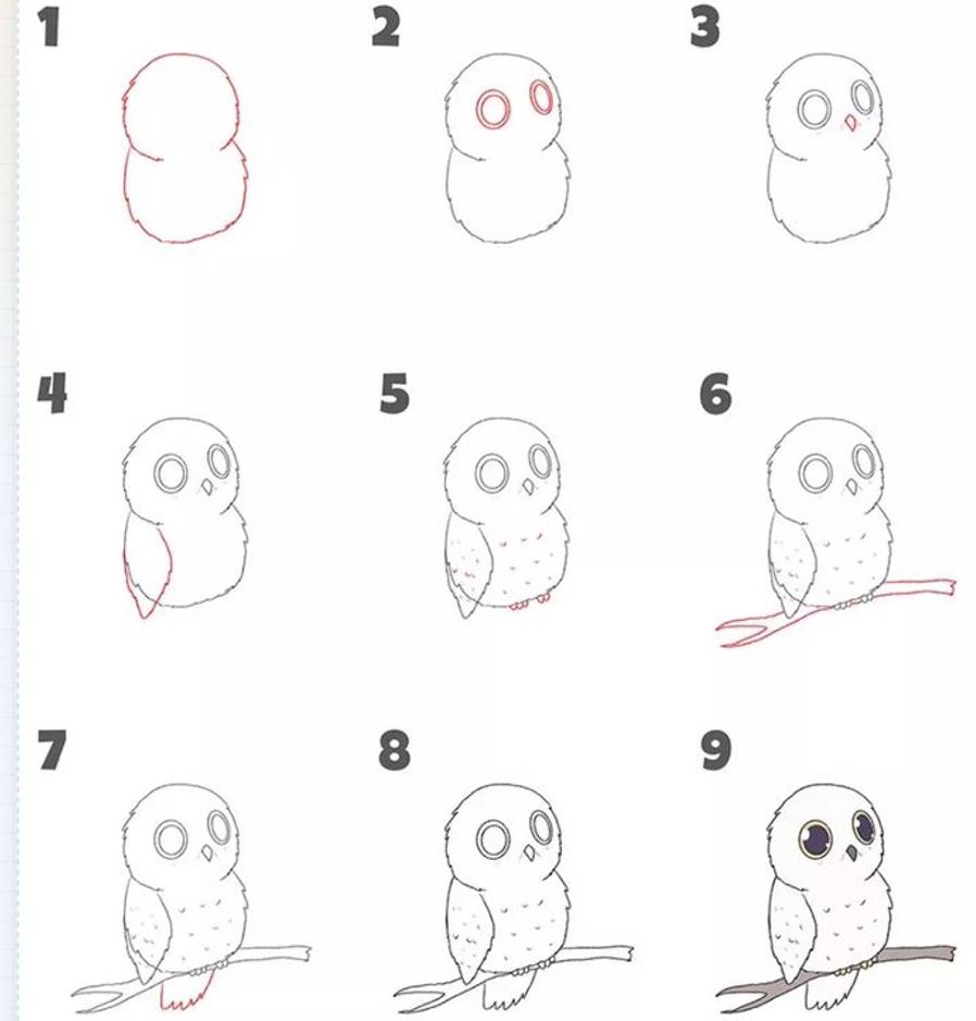 красивая сова, нарисованная за 6 шагов
