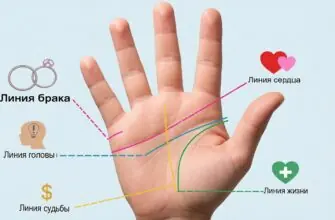 как узнать по руке сколько будет браков по линиям