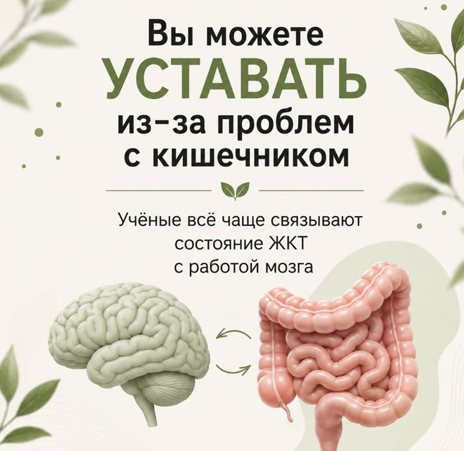 уставать из-за проблем с кишечником - влияние работы мозга на состояние ЖКТ психосоматика газообразования