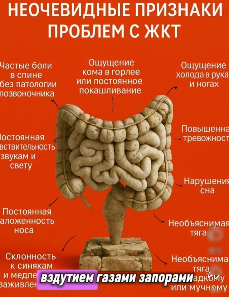 причины болезней и неприятных ощущений жкт признаки проблем с жкт